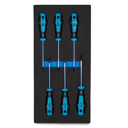 Capri Tools Kontour Star Screwdriver Set with the Mechanic's Tray, 6 pcs 25000-TSS64MT